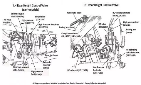 Rear Height Control System