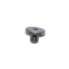 SEAL BOLT WITH SEALING RI (WHT004072P)