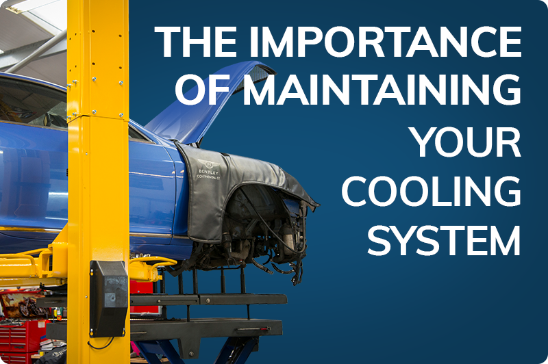 The Importance of Maintaining Your Car’s Cooling System 